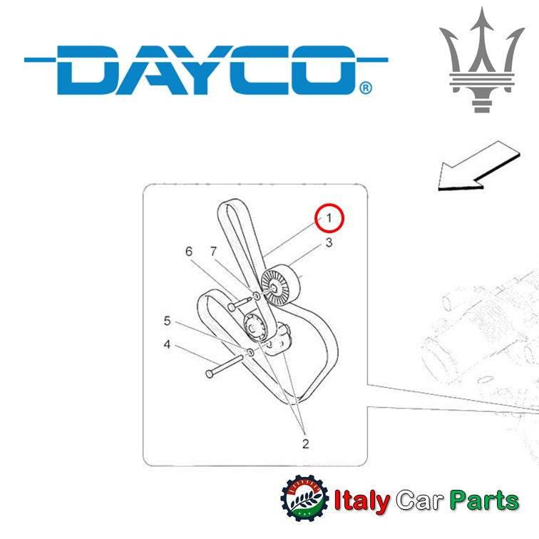 ファンベルト ドライブベルト マセラティ クアトロポルテ 4200 グランスポーツ DAYCO製 Maserati Quattroporte Gransport