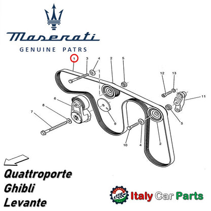ドライブ ベルト オルタネーター セット Maserati マセラティ 純正 V6 ギブリ クアトロポルテ レヴァンテ