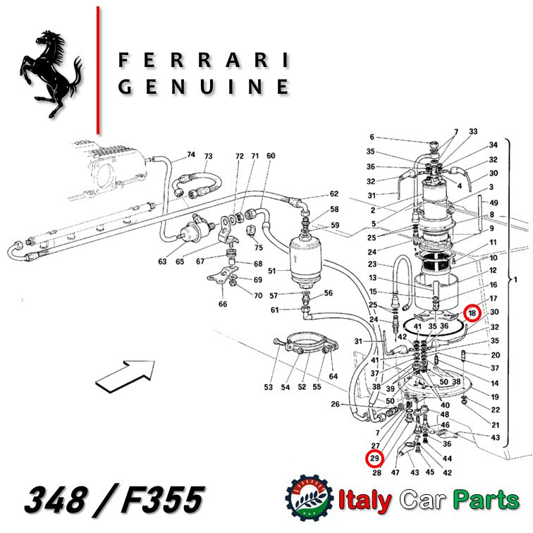 フューエル ポンプ Oリング 348 355 Mondial 3.4T フェラーリ 純正 燃料 Ferrari