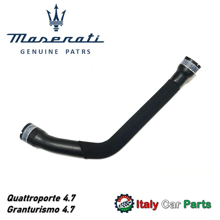 ラジエターホース クアトロポルテ グラントゥーリズモ グランカブリオ 4.7L用 マセラティ純正 クーラント 冷却水 Maserati